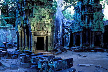 Ta Prohm Temple, Angkor, Cambodia, Asia