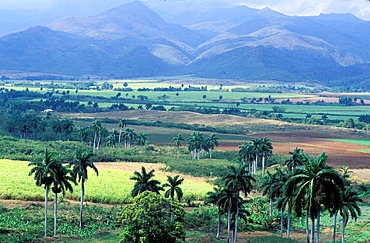 UNESCO World Heritage site, Valley of San Luis, Region of Sancti Spiritus, Cuba, Central America