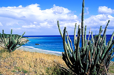 Beach between Guantanamo and Baracoa, Region of Guantanamo, Cuba, Central America