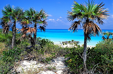 Beach of Cayo Guillermo, Cayo Coco, Region of Sancti Spiritus, Cuba, Central America