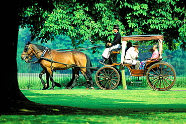 Carriage in the park, Windsor, Berkshire, England, UK, Europe