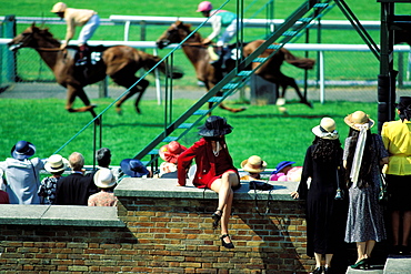 Horse race, Royal Ascot, Ascot, England, UK, Europe