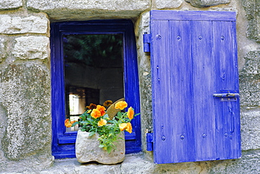 Close-up of blue shutter, window and yellow pansies, Villefranche sur Mer, Cote d'Azur, Provence, France, Europe