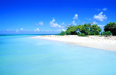 White island, Grand Cul de Sac Marin, Basse Terre, Guadeloupe, Caribbean, Central America