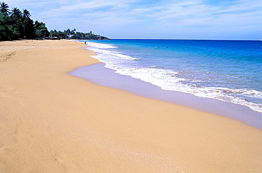 Grande Anse beach, Basse Terre, Guadeloupe, Caribbean, Central America