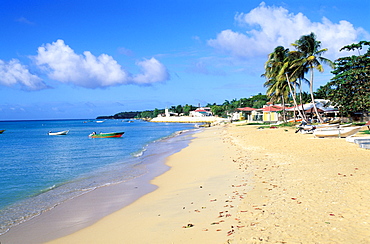 Saint Louis beach, Marie Galante island, Guadeloupe, Caribbean, Central America