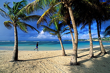 Caravelle beach, Sainte Anne, Grande Terre, Guadeloupe, Caribbean, Central America