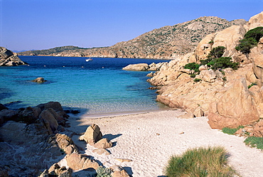 Bay and beach, Cala Coticcio, island of Caprera, La Maddalena Archipelalgo, Sardinia, Italy, Mediterranean, Europe 