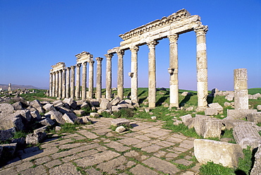 Qalaat al-Moudiq, Apamea, Lattakia, Syria, Middle East