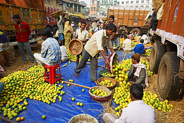 Fruit market, Kolkata (Calcutta), West Bengal, India, Asia 