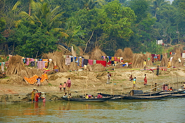 Village on the bank of the Hooghly River, part of the Ganges River, West Bengal, India, Asia 