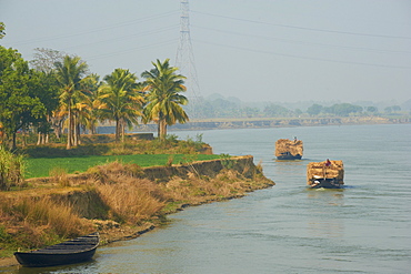 Transporting rice straw by boat on the Hooghly River, part of the Ganges River, West Bengal, India, Asia 