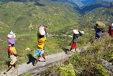 Zafimaniry country people back from market, Madagascar, AFrica