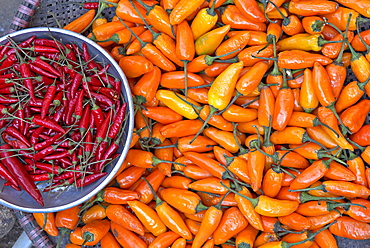  Chillies, Sapa area, Vietnam, Indochina, Southeast Asia, Asia 