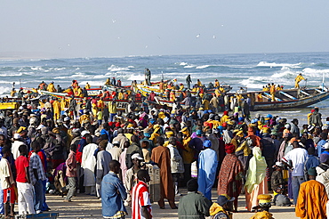 Kayar fish harbour, the biggest fish harbour in Senegal, West Africa, Africa