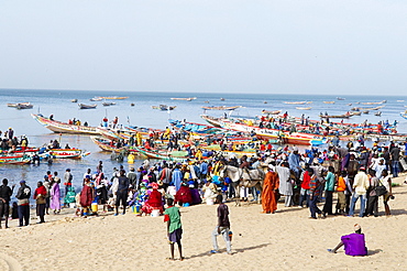 Mbour fishing harbour on the Petite Cote (Small Coast), Senegal, West Africa, Africa 