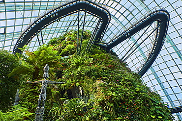 Garden By the Bay, Cloud Forest, botanic garden, the highest artificial waterfall in the world, Marina Bay, Singapore, Southeast Asia, Asia