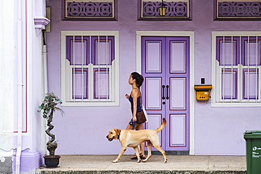 Peranakan houses in Euros District at the east of the city, Singapore, Southeast Asia, Asia