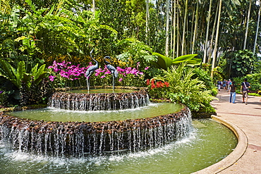 National Orchid Garden, Botanic Garden, UNESCO World Heritage Site, Singapore, Southeast Asia, Asia