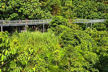 Walk on the Southern Ridges from West Coast Park to Faber Mount, Singapore, Southeast Asia, Asia