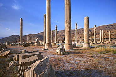 Pillars of the Apadana palace, Persepolis, UNESCO World Heritage Site, Fars Province, Iran, Middle East