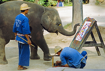 Elephant painting with his trunk, Mae Sa Elephant Camp, Chiang Mai, Thailand, Asia