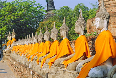 Line of seated Buddha statues, Wat Yai Chai Mongkon, Ayuthaya, Thailand