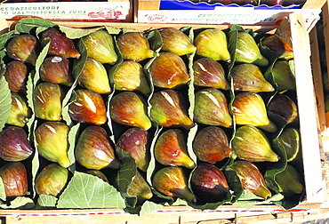 A box of figs for sale in a market, Tuscany, Italy, Europe