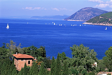 Coast near Portoferraio, island of Elba, province of Livorno, Tuscany, Italy, Mediterranean, Europe