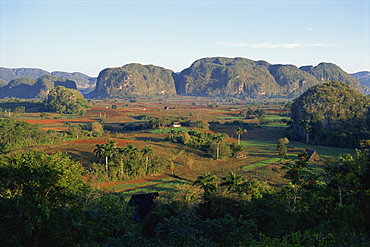 Landscape view of fields and trees in valley, with hills beyond, Vinales Valley, UNESCO World Heritage Site, Cuba, West Indies, Central America