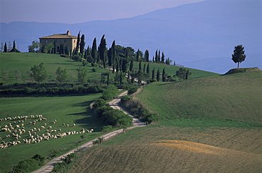 House and cypress trees, Val d'Orcia, Siena provice, Tuscany, Italy, Europe