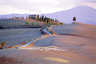 Landscape near Pienza, Siena Province, Tuscany, Italy 