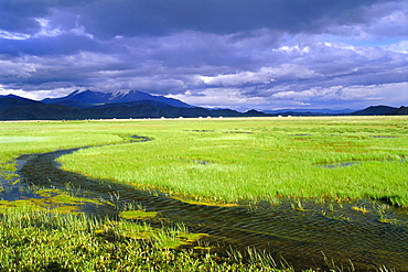 Kazakh encampment, Tolbo, Bayan-olgii, Mongolia