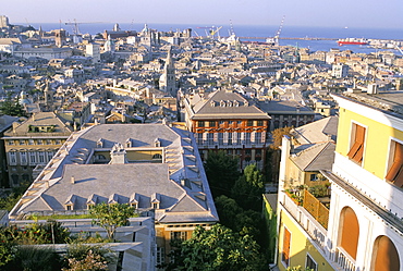 View over city, Genoa (Genova), Liguria, Italy, Mediterranean, Europe