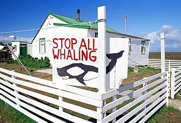 An anti-whaling sign in front of Falkland traditional wooden house, Sea Lion Islands, Falkland Islands, South America