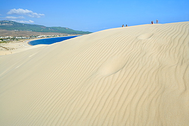 Bolonia sandy beach (Playa de Bolonia), Costa de la Luz, Cadiz Province, Andalucia (Andalusia), Spain, Europe