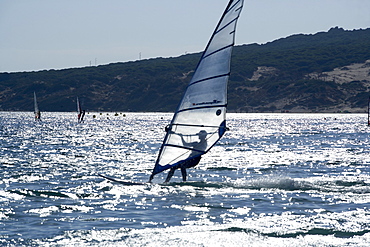 Windsurfer, Bolonia, Costa de la Luz, Andalucia (Andalusia), Spain, Europe