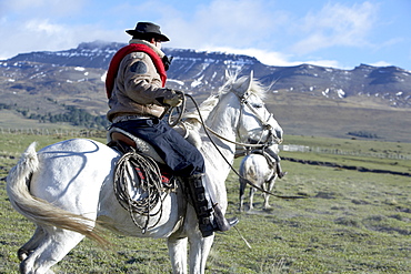 A gaucho riding his horse, Torres del Paine National Park, Patagonian Andes, Patagonia, Chile, South America