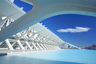 Principe Felipe Science Museum, City of Arts and Sciences, Valencia, Spain, Europe