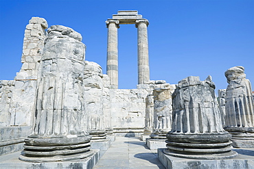 Temple of Apollo, Didyma, Anatolia, Turkey, Asia Minor, Eurasia