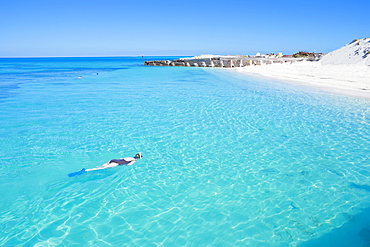 Person snorkelling near tropical beach, Dry Tortugas National Park, Florida, United States of America, North America