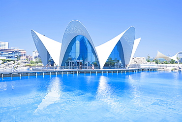 Oceanografic, City of Arts and Sciences, Valencia, Comunidad Autonoma de Valencia, Spain, Europe