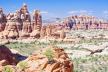 Rock formations in The Needles, Canyonlands National Park, Utah, United States of America, North America