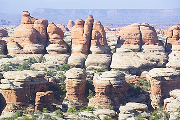 Rock formations, The Needles, Canyonlands National Park, Utah, United States of America, North America