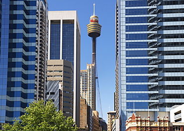 Centrepoint Tower, Sydney, New South Wales, Australia, Pacific 