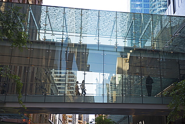 Glass Passageway, Sydney, New South Wales, Australia, Pacific 