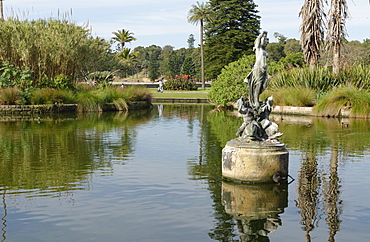 Royal Botanic Gardens, Sydney, New South Wales, Australia, Pacific 