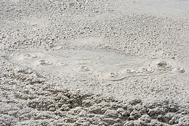 Bubbling mud, Waiotapu Thermal Area, Rotorua, North Island, New Zealand, Pacific