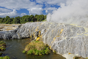 Pohutu Geyser, Te Puia, Rotorua, North Island, New Zealand, Pacific