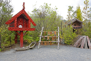 Maori reconstructed village, Te Puia, Rotorua, North Island, New Zealand, Pacific